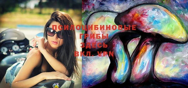 spice Алексеевка