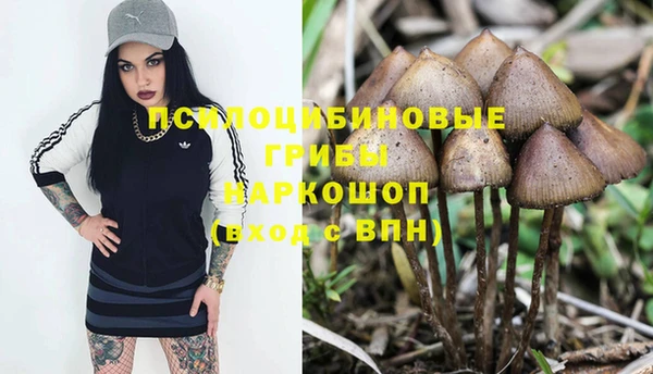 СК Алзамай
