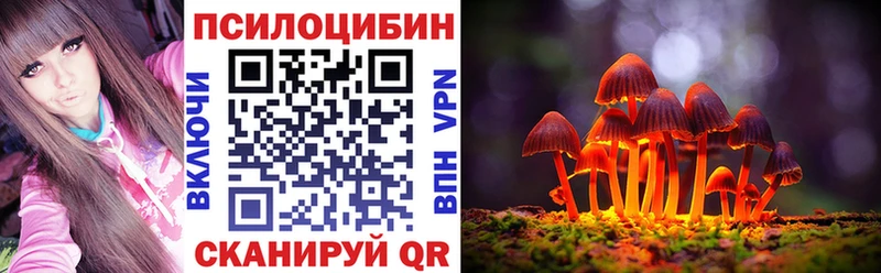хочу наркоту  kraken как зайти  Галлюциногенные грибы Psilocybe  Курлово 